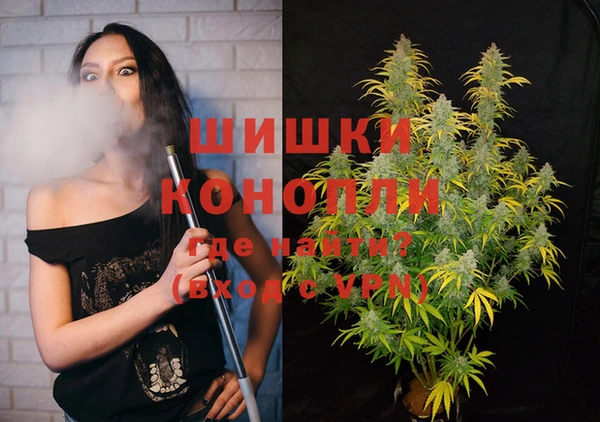 дмт Аркадак