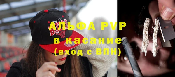 шишки Арсеньев