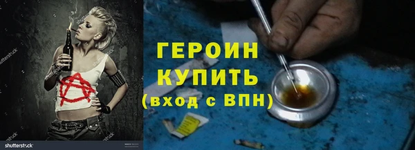 шишки Арсеньев