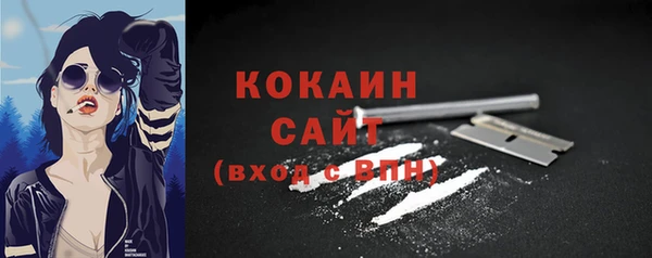 шишки Арсеньев