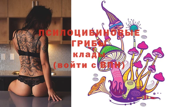 шишки Арсеньев