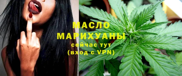 шишки Арсеньев