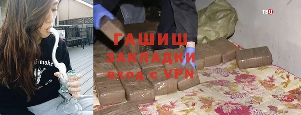 шишки Арсеньев