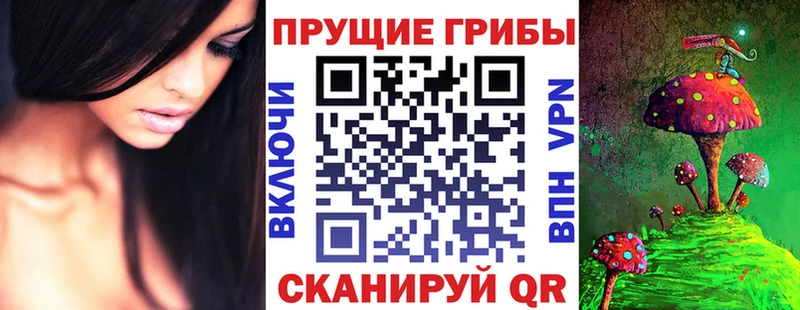 Галлюциногенные грибы Psilocybe  Орёл 